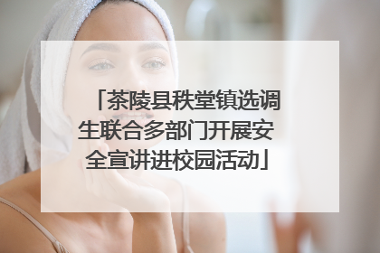 茶陵县秩堂镇选调生联合多部门开展安全宣讲进校园活动