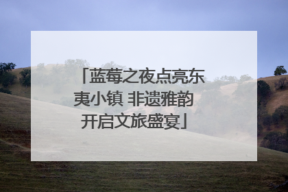 蓝莓之夜点亮东夷小镇 非遗雅韵开启文旅盛宴