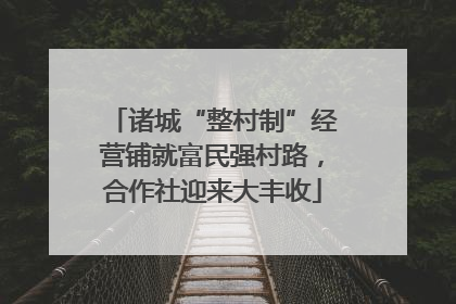 诸城“整村制”经营铺就富民强村路，合作社迎来大丰收