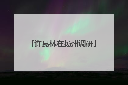 许昆林在扬州调研