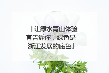 让绿水青山体验官告诉你，绿色是浙江发展的底色
