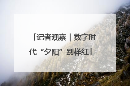 记者观察｜数字时代“夕阳”别样红