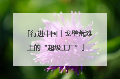 行进中国丨戈壁荒滩上的“超级工厂”