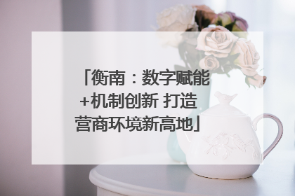 衡南：数字赋能+机制创新 打造营商环境新高地