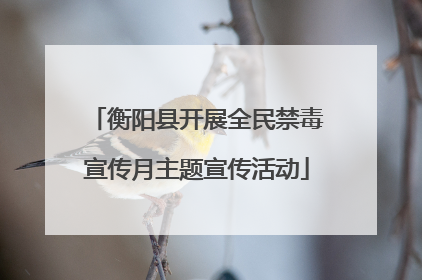 衡阳县开展全民禁毒宣传月主题宣传活动