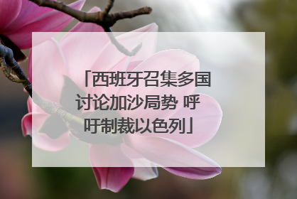 西班牙召集多国讨论加沙局势 呼吁制裁以色列
