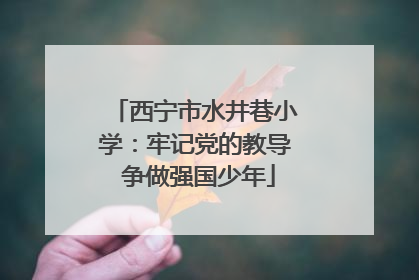 西宁市水井巷小学：牢记党的教导 争做强国少年