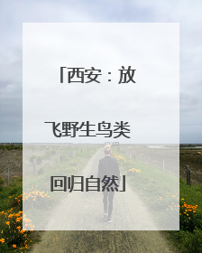 西安：放飞野生鸟类回归自然