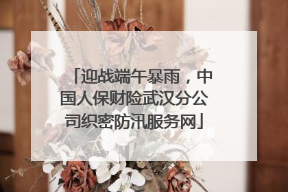 迎战端午暴雨，中国人保财险武汉分公司织密防汛服务网