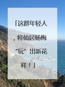 这群年轻人，将仙居杨梅“玩”出新花样！