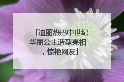 迪丽热巴中世纪华丽公主造型亮相，惊艳网友