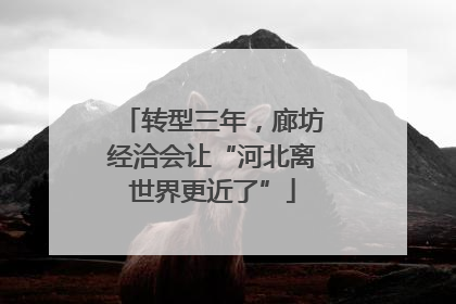转型三年，廊坊经洽会让“河北离世界更近了”