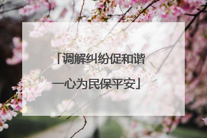 调解纠纷促和谐 一心为民保平安