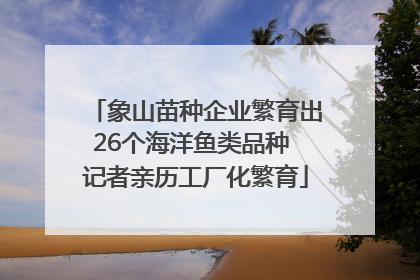 象山苗种企业繁育出26个海洋鱼类品种 记者亲历工厂化繁育