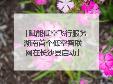 赋能低空飞行服务 湖南首个低空智联网在长沙县启动