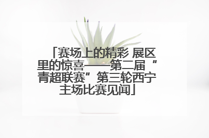 赛场上的精彩 展区里的惊喜——第二届“青超联赛”第三轮西宁主场比赛见闻