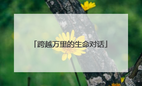 跨越万里的生命对话