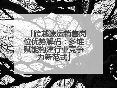 跨越速运销售岗位优势解码：多维赋能构建行业竞争力新范式