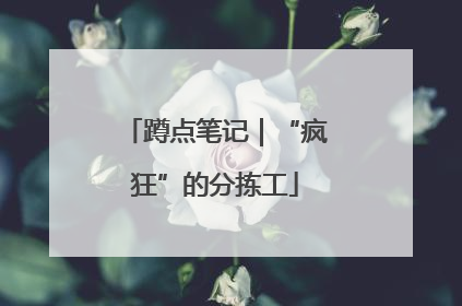 蹲点笔记｜“疯狂”的分拣工