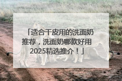 适合干皮用的洗面奶推荐，洗面奶哪款好用2025精选推介！