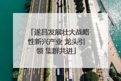 遂昌发展壮大战略性新兴产业 龙头引领 集群共进