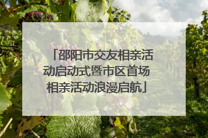 邵阳市交友相亲活动启动式暨市区首场相亲活动浪漫启航