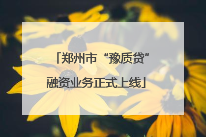 郑州市“豫质贷”融资业务正式上线