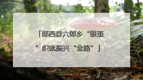 郧西县六郎乡“银茧”织就振兴“金路”