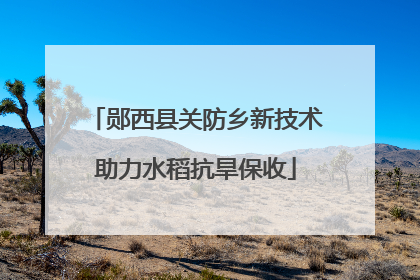 郧西县关防乡新技术助力水稻抗旱保收
