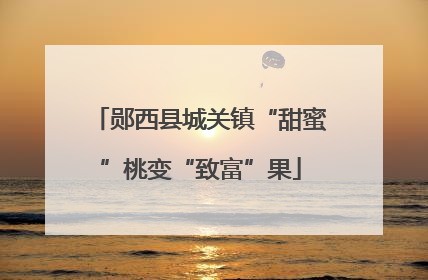 郧西县城关镇“甜蜜”桃变“致富”果