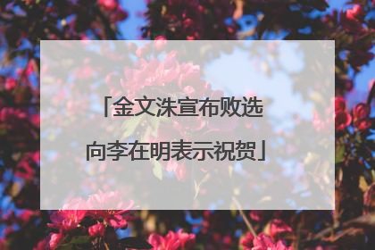 金文洙宣布败选 向李在明表示祝贺