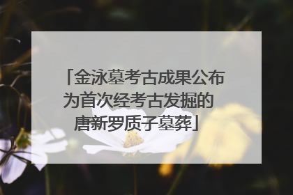 金泳墓考古成果公布 为首次经考古发掘的唐新罗质子墓葬
