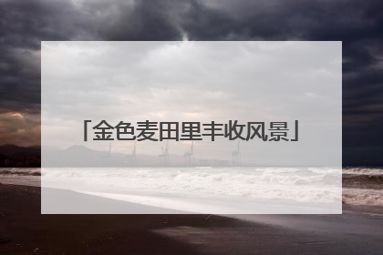 金色麦田里丰收风景