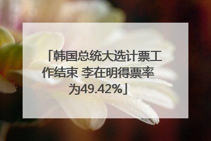 韩国总统大选计票工作结束 李在明得票率为49.42%
