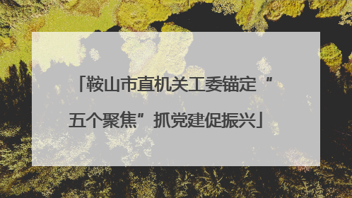 鞍山市直机关工委锚定“五个聚焦”抓党建促振兴