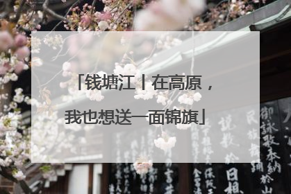 钱塘江丨在高原，我也想送一面锦旗
