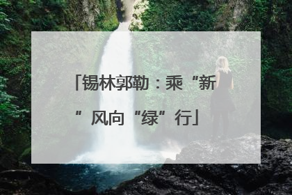 锡林郭勒：乘“新”风向“绿”行