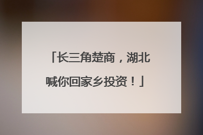 长三角楚商，湖北喊你回家乡投资！