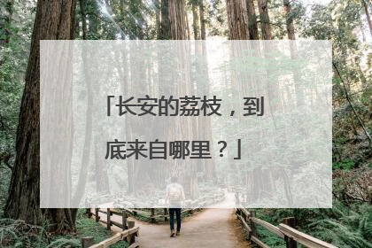 长安的荔枝，到底来自哪里？