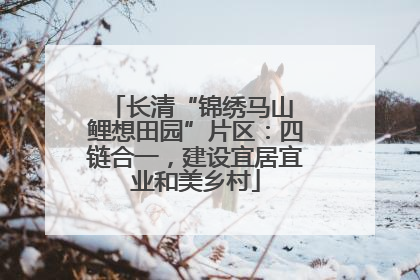 长清“锦绣马山 鲤想田园”片区：四链合一，建设宜居宜业和美乡村