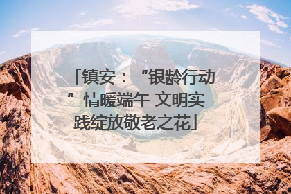 镇安：“银龄行动”情暖端午 文明实践绽放敬老之花