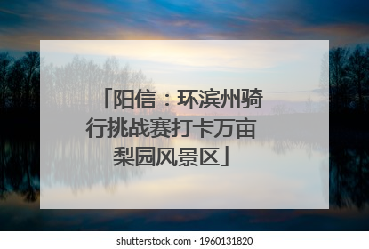 阳信：环滨州骑行挑战赛打卡万亩梨园风景区