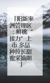 阳新率洲管理区：鲜桃“接力”上市 多品种拉长甜蜜采摘期