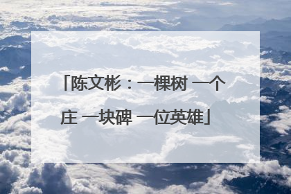 陈文彬：一棵树 一个庄 一块碑 一位英雄