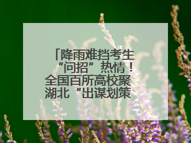 降雨难挡考生“问招”热情！全国百所高校聚湖北“出谋划策”（组图）