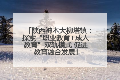 陕西神木大柳塔镇：探索“职业教育+成人教育”双轨模式 促进教育融合发展