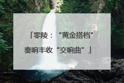 零陵：“黄金搭档”奏响丰收“交响曲”