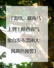 雷电、暴雨马上到！陕西省气象台发布雷雨大风黄色预警