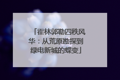 霍林郭勒四秩风华：从荒原勘探到绿电新城的蝶变