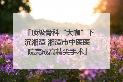顶级骨科“大咖”下沉湘潭 湘潭市中医医院完成高精尖手术